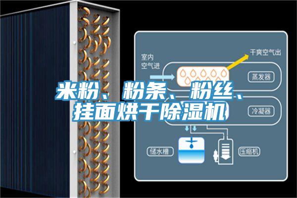 米粉、粉條、粉絲、掛面烘干除濕機