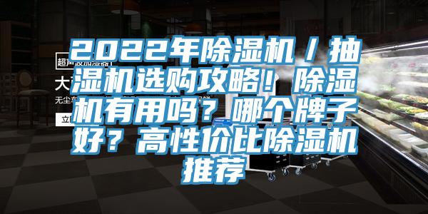 2022年除濕機／抽濕機選購攻略！除濕機有用嗎？哪個牌子好？高性價比除濕機推薦