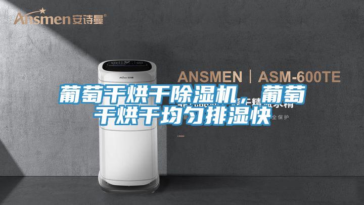 葡萄干烘干除濕機(jī),葡萄干烘干均勻排濕快