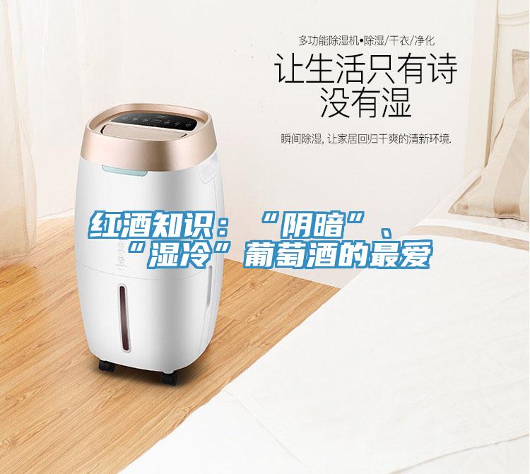 紅酒知識:“陰暗”、“濕冷”葡萄酒的最愛