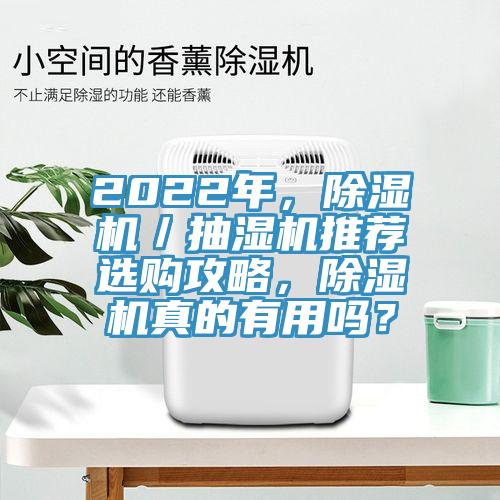 2022年，除濕機／抽濕機推薦選購攻略，除濕機真的有用嗎？