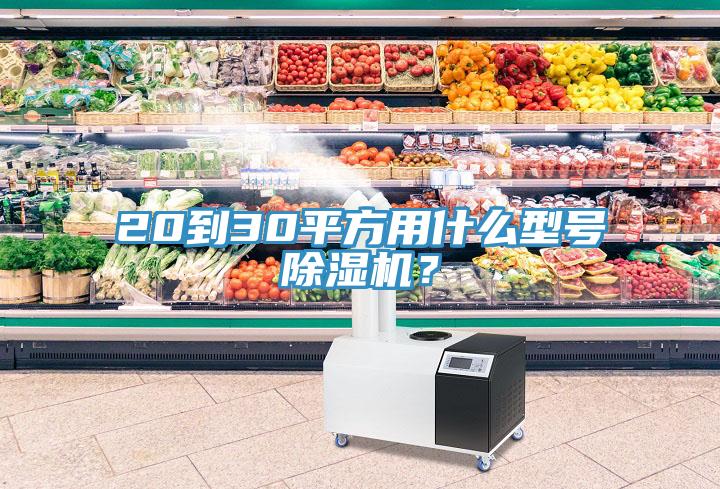 20到30平方用什么型號除濕機(jī)?