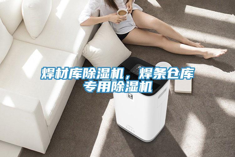 焊材庫除濕機，焊條倉庫專用除濕機