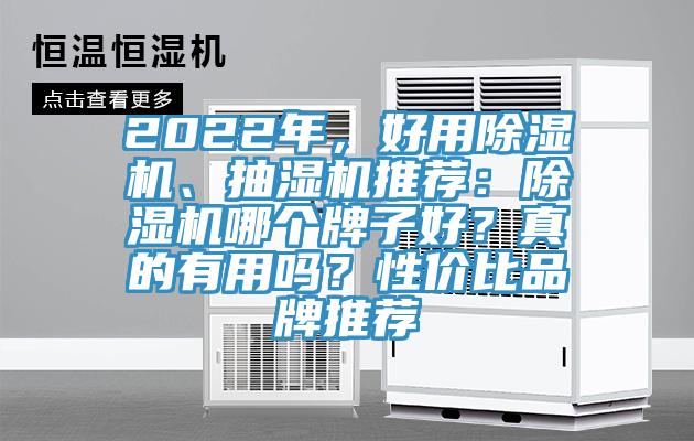 2022年，好用除濕機、抽濕機推薦：除濕機哪個牌子好？真的有用嗎？性價比品牌推薦