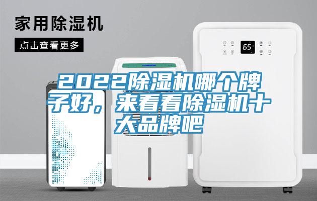 2022除濕機哪個牌子好，來看看除濕機十大品牌吧