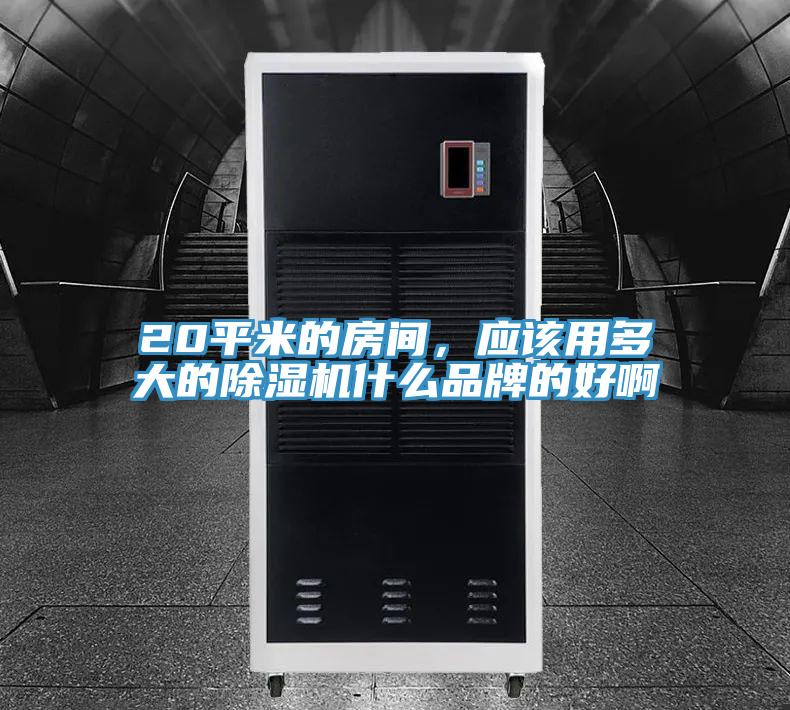 20平米的房間,應(yīng)該用多大的除濕機(jī)什么品牌的好啊