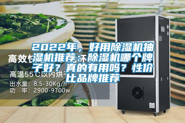 2022年，好用除濕機抽濕機推薦：除濕機哪個牌子好？真的有用嗎？性價比品牌推薦