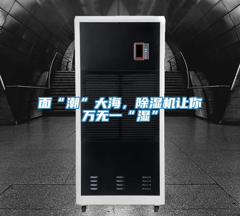 面“潮”大海,除濕機讓你萬無一“濕”
