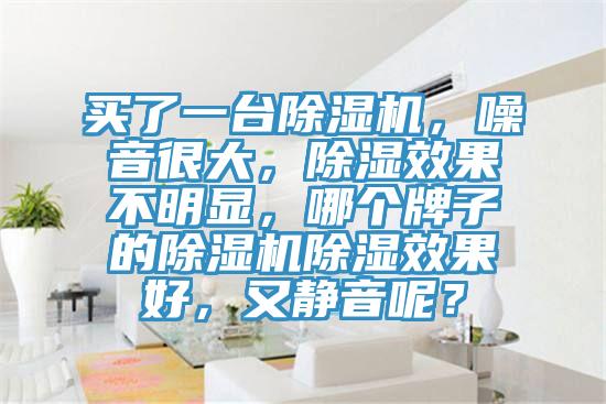 買了一臺除濕機,噪音很大,除濕效果不明顯,哪個牌子的除濕機除濕效果好,又靜音呢?