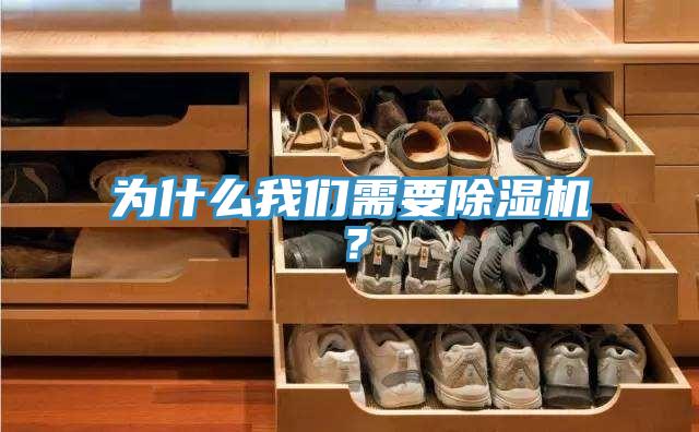 為什么我們需要除濕機(jī)?