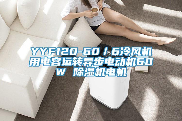 YYF120-60/6冷風機用電容運轉(zhuǎn)異步電動機60W 除濕機電機
