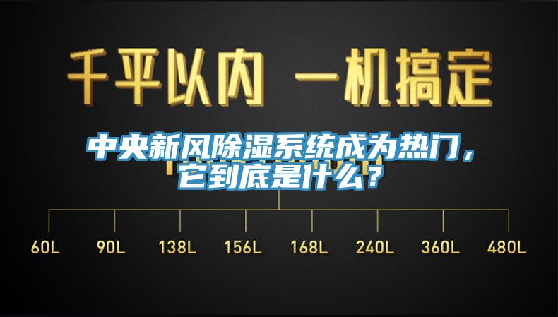 中央新風除濕系統成為熱門,它到底是什么?