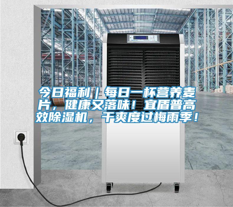 今日福利|每日一杯營養(yǎng)麥片,健康又落味!宜盾普高效除濕機(jī),干爽度過梅雨季!
