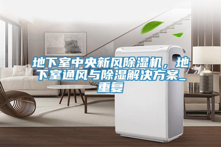 地下室中央新風(fēng)除濕機(jī),地下室通風(fēng)與除濕解決方案_重復(fù)