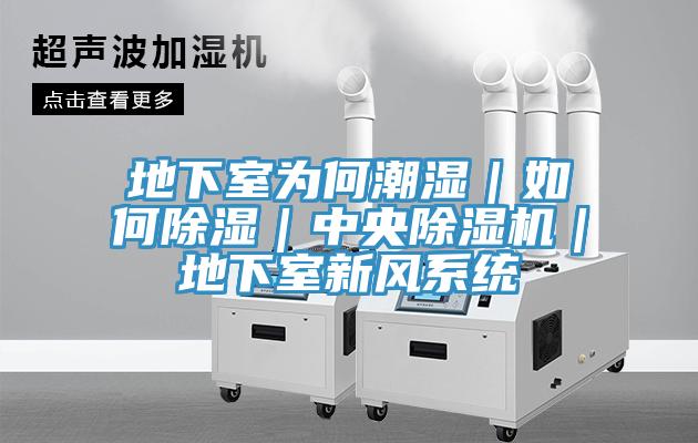 地下室為何潮濕|如何除濕|中央除濕機(jī)|地下室新風(fēng)系統(tǒng)