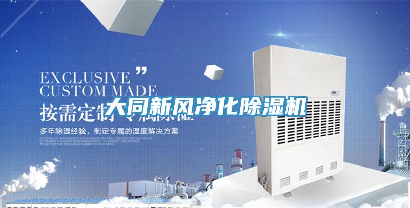 大同新風凈化除濕機