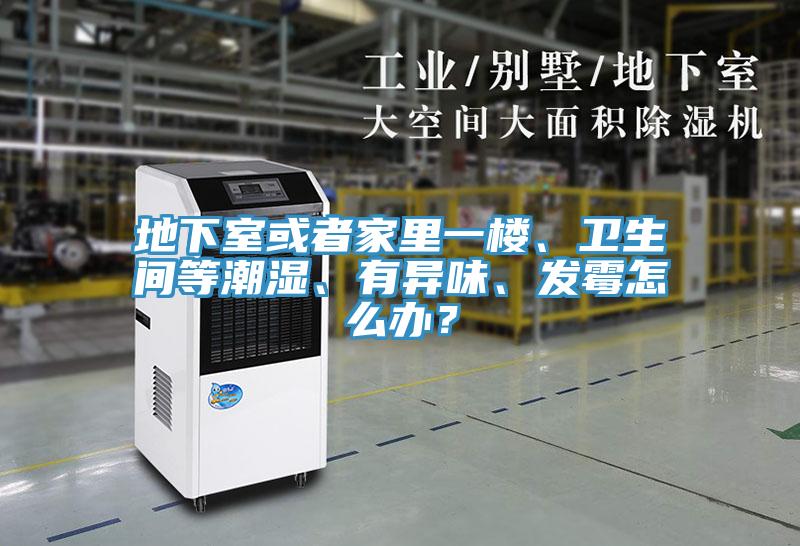 地下室或者家里一樓、衛生間等潮濕、有異味、發霉怎么辦?