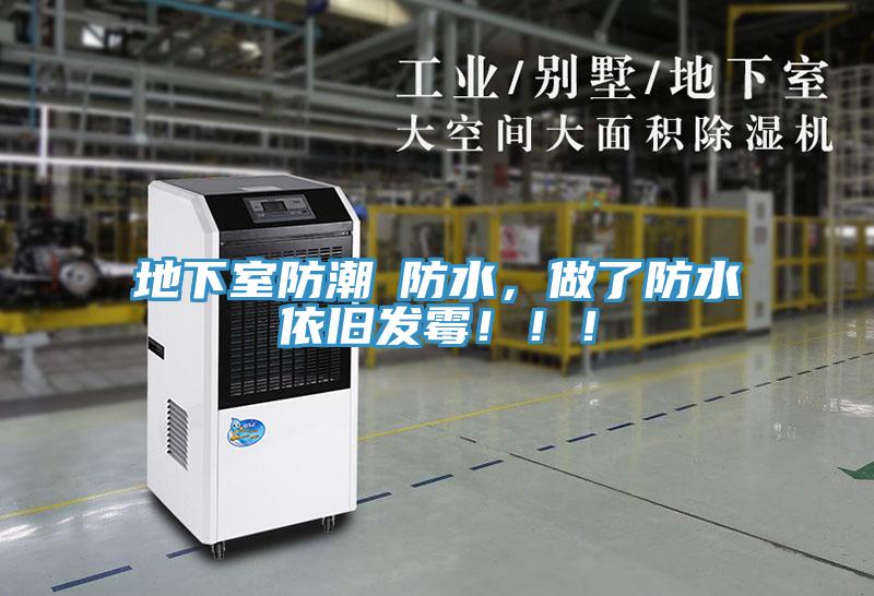 地下室防潮≠防水,做了防水依舊發(fā)霉!!!