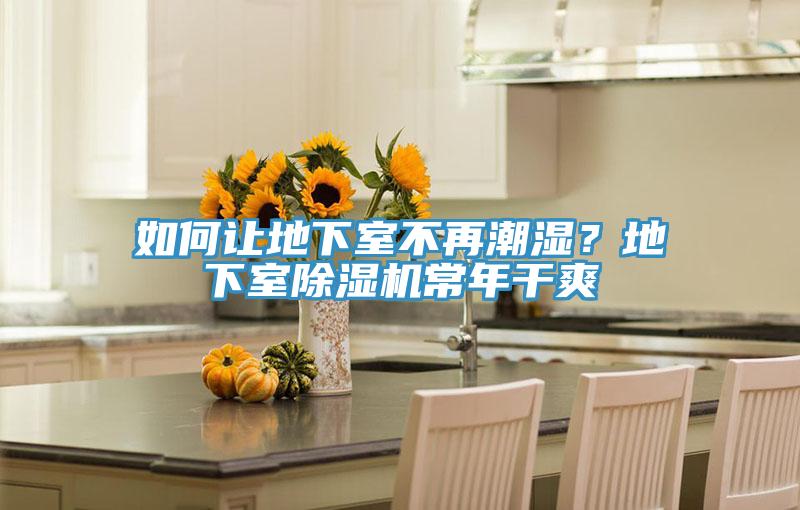 如何讓地下室不再潮濕?地下室除濕機常年干爽