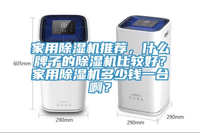 家用除濕機推薦，什么牌子的除濕機比較好？家用除濕機多少錢一臺啊？
