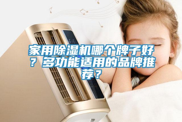 家用除濕機哪個牌子好？多功能適用的品牌推薦？