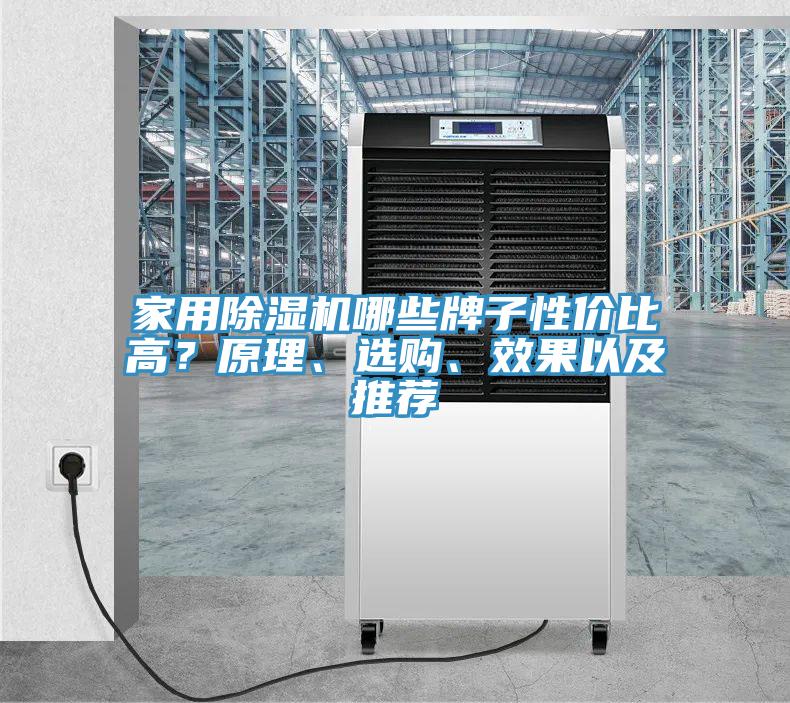 家用除濕機(jī)哪些牌子性價比高？原理、選購、效果以及推薦