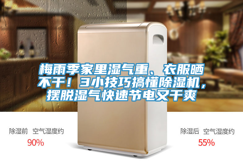 梅雨季家里濕氣重、衣服曬不干！3小技巧搞懂除濕機，擺脫濕氣快速節電又干爽