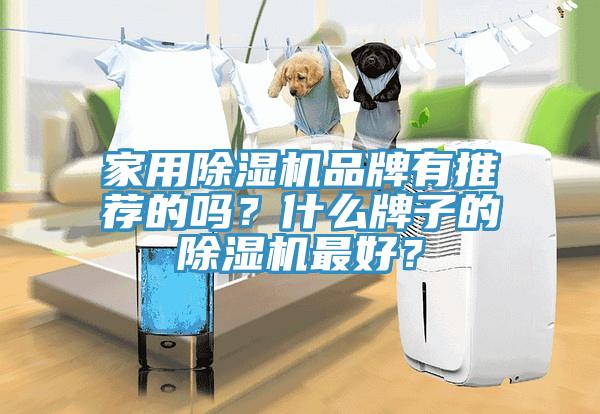 家用除濕機(jī)品牌有推薦的嗎?什么牌子的除濕機(jī)最好?