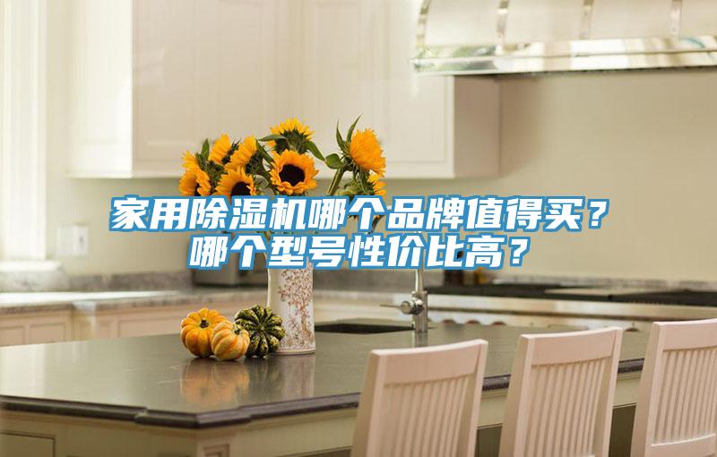 家用除濕機(jī)哪個(gè)品牌值得買?哪個(gè)型號(hào)性價(jià)比高?