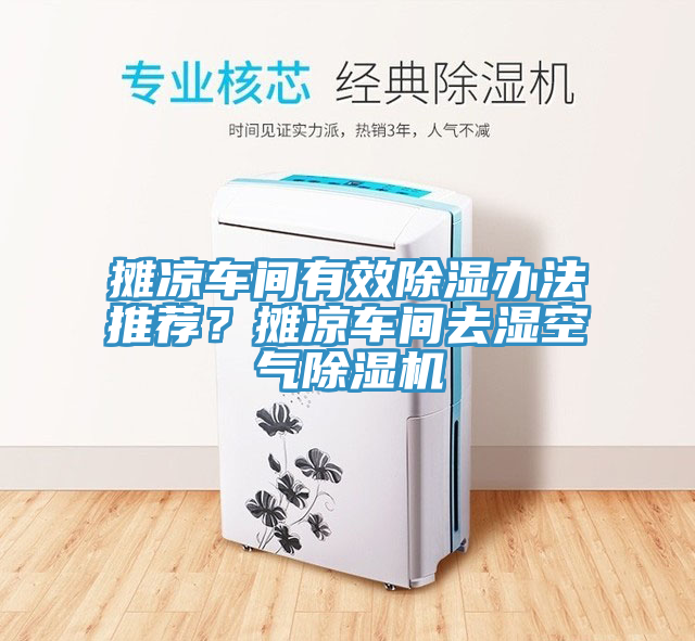 攤涼車間有效除濕辦法推薦?攤涼車間去濕空氣除濕機