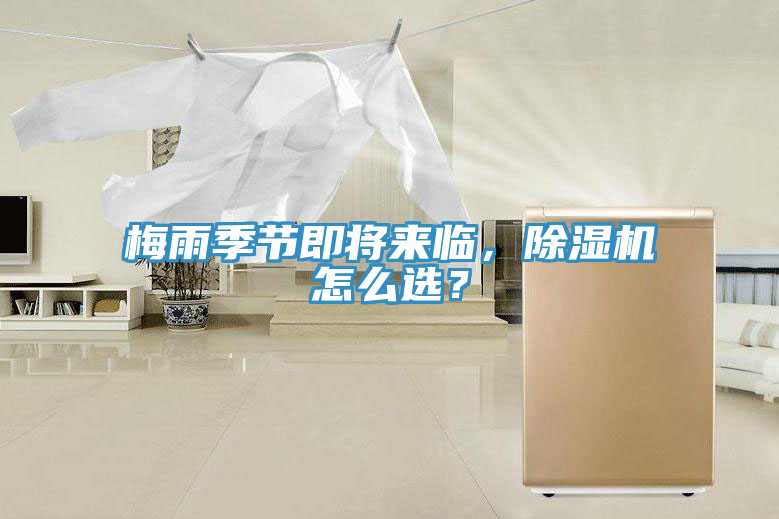 梅雨季節即將來臨，除濕機怎么選？