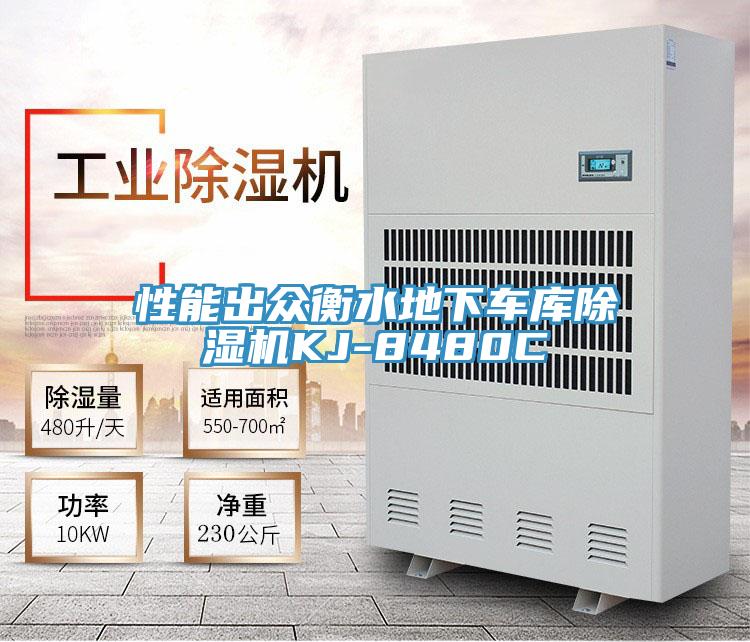 性能出眾衡水地下車(chē)庫(kù)除濕機(jī)KJ-8480C