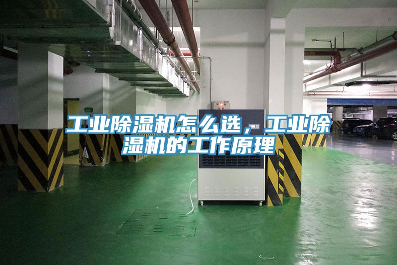 工業(yè)除濕機(jī)怎么選,工業(yè)除濕機(jī)的工作原理