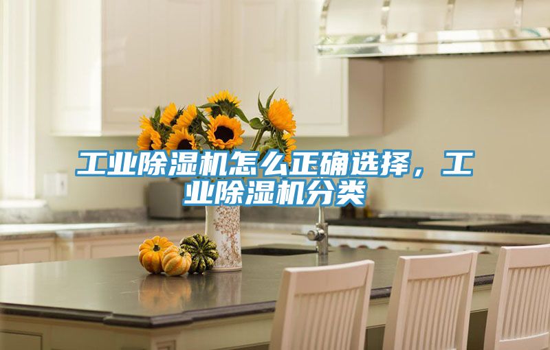 工業(yè)除濕機(jī)怎么正確選擇,工業(yè)除濕機(jī)分類(lèi)