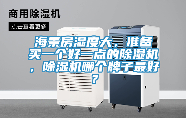 海景房濕度大，準備買一個好一點的除濕機，除濕機哪個牌子最好？