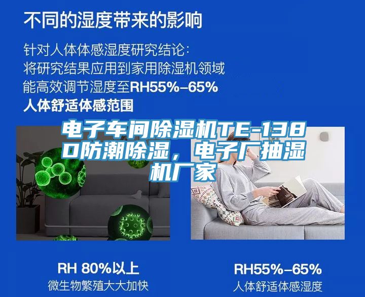 電子車間除濕機(jī)TE-138D防潮除濕,電子廠抽濕機(jī)廠家
