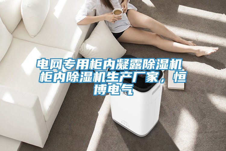 電網(wǎng)專用柜內(nèi)凝露除濕機(jī) 柜內(nèi)除濕機(jī)生產(chǎn)廠家,恒博電氣