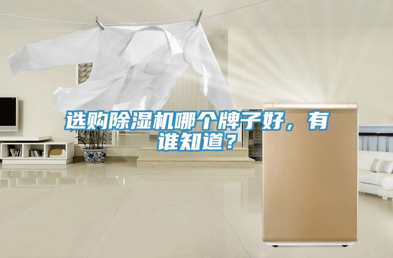 選購除濕機哪個牌子好，有誰知道？