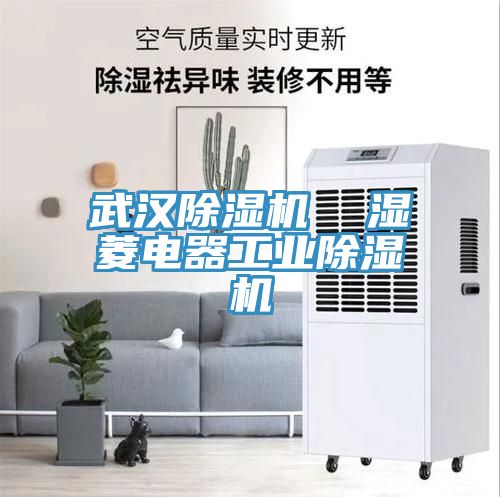 武漢除濕機 濕菱電器工業除濕機