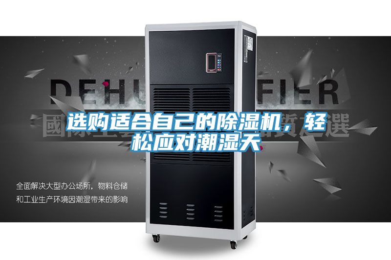 選購適合自己的除濕機，輕松應對潮濕天