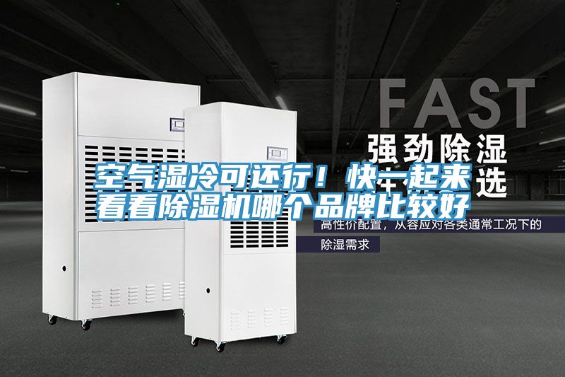 空氣濕冷可還行！快一起來看看除濕機(jī)哪個品牌比較好