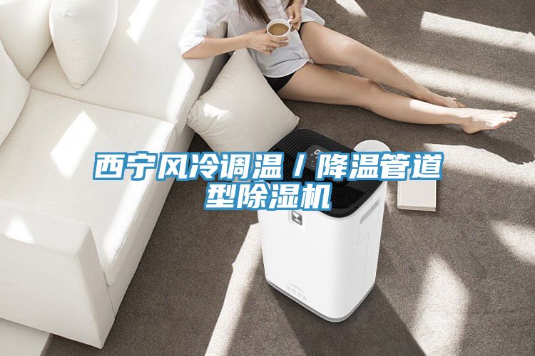 西寧風冷調(diào)溫／降溫管道型除濕機