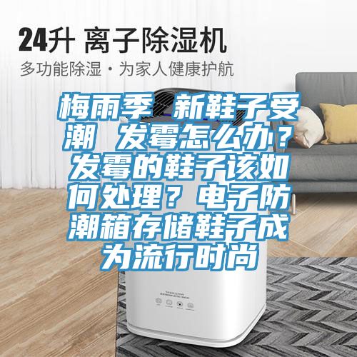 梅雨季 新鞋子受潮 發霉怎么辦?發霉的鞋子該如何處理?電子防潮箱存儲鞋子成為流行時尚