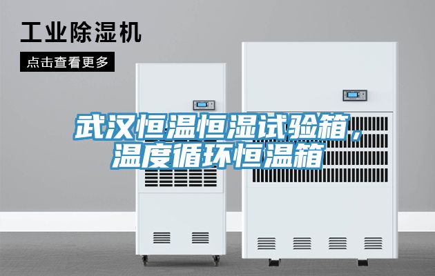 武漢恒溫恒濕試驗箱，溫度循環恒溫箱