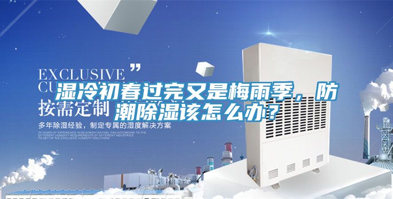 濕冷初春過完又是梅雨季,防潮除濕該怎么辦?