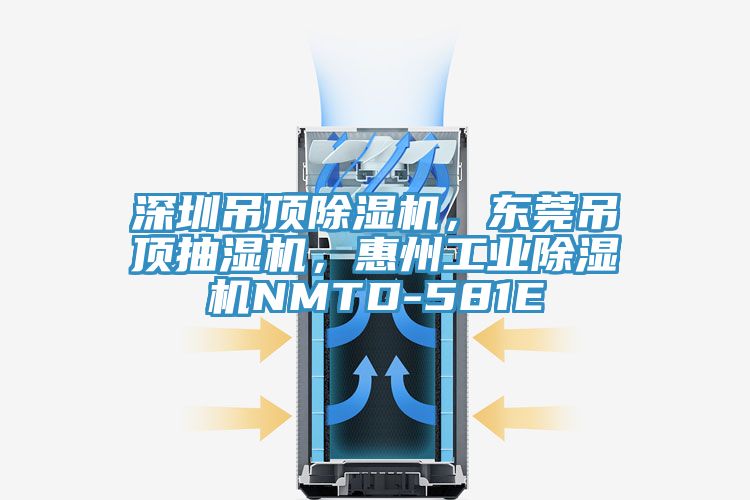 深圳吊頂除濕機，東莞吊頂抽濕機，惠州工業除濕機NMTD-581E