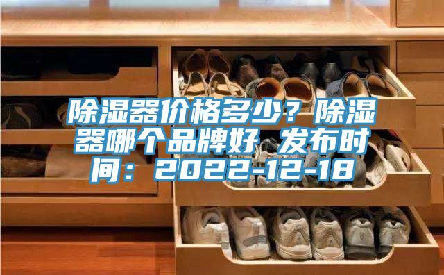 除濕器價格多少?除濕器哪個品牌好 發布時間:2022-12-18