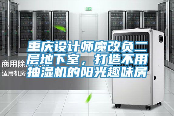 重慶設(shè)計(jì)師魔改負(fù)二層地下室,打造不用抽濕機(jī)的陽光趣味房