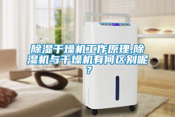 除濕干燥機工作原理,除濕機與干燥機有何區(qū)別呢?