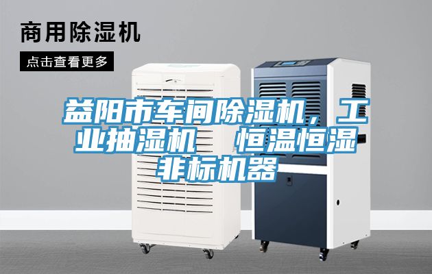 益陽市車間除濕機,工業抽濕機 恒溫恒濕非標機器